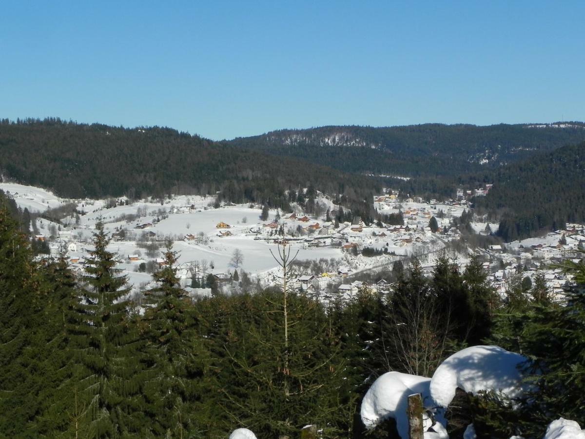 Appt 3* Le Haut Des Lacs Xonrupt-Longemer Exterior foto